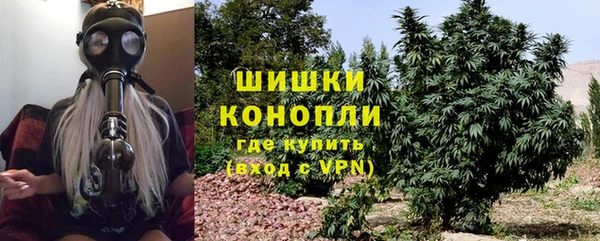 ALPHA PVP Богородицк