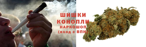 ПСИЛОЦИБИНОВЫЕ ГРИБЫ Белоозёрский