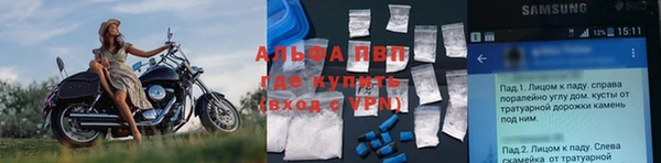 ПСИЛОЦИБИНОВЫЕ ГРИБЫ Белоозёрский
