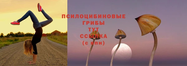 мескалин Белокуриха
