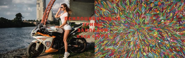 ПСИЛОЦИБИНОВЫЕ ГРИБЫ Белоозёрский
