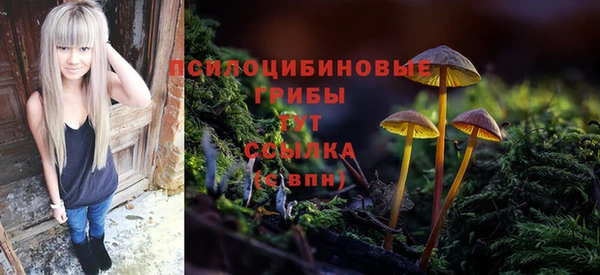 МДМА Беломорск