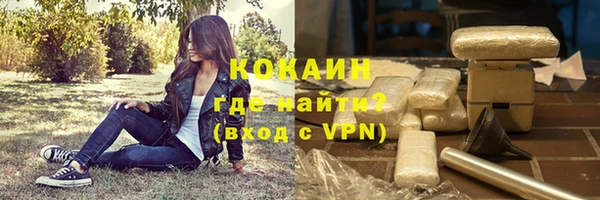 ешки Богданович