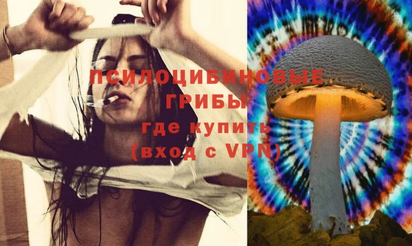 ПСИЛОЦИБИНОВЫЕ ГРИБЫ Белоозёрский