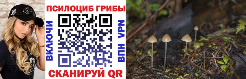 omg ONION  Шахунья  Галлюциногенные грибы MAGIC MUSHROOMS 